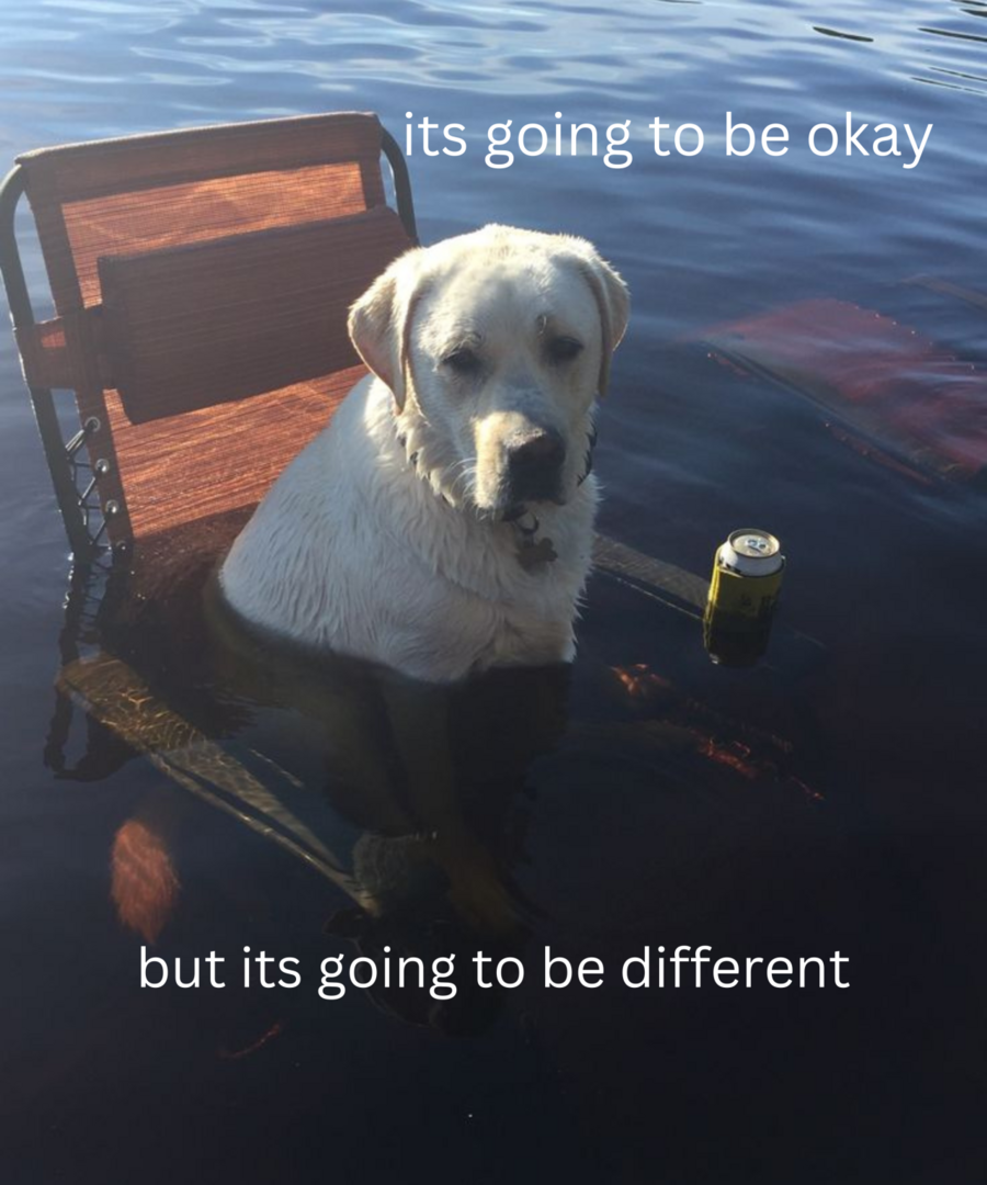 afbeelding-2.png